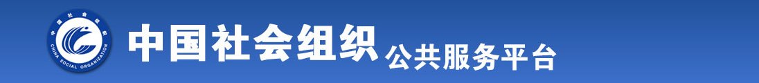 在线骚全国社会组织信息查询